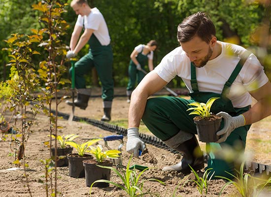 Cette image représente un paysagiste jardinier au travail.