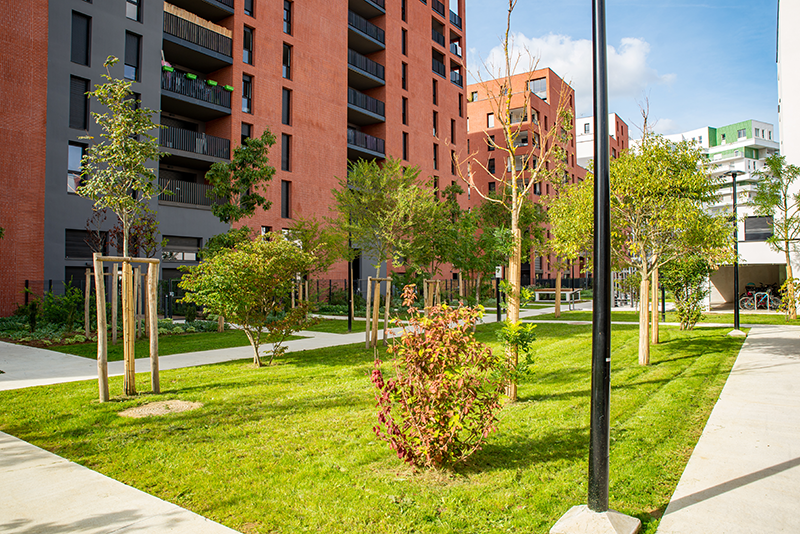 Aménagement des espaces verts 