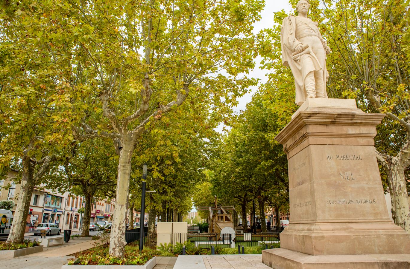 platanes allée Niel