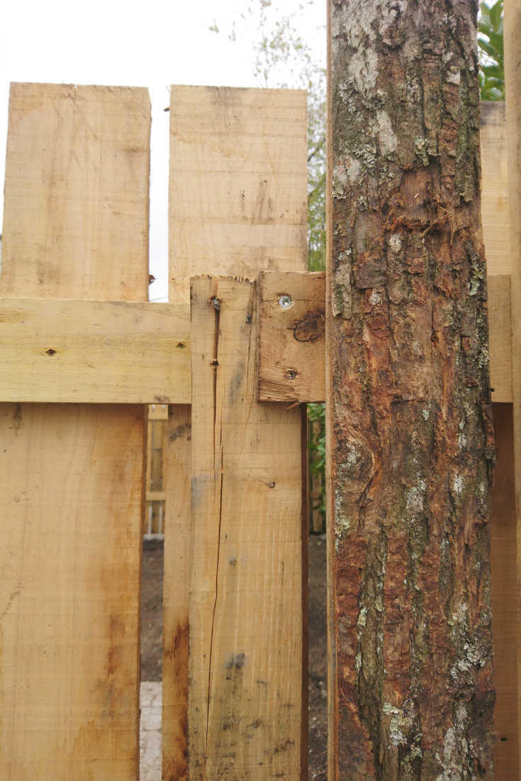 Cette image représente une palissade en bois réalisée par l'entreprise Mayet Parcs & Jardins