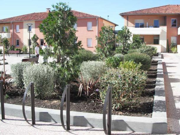 Aménagement des jardins collectifs
