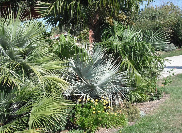 CRÉATION DE JARDINS SECS