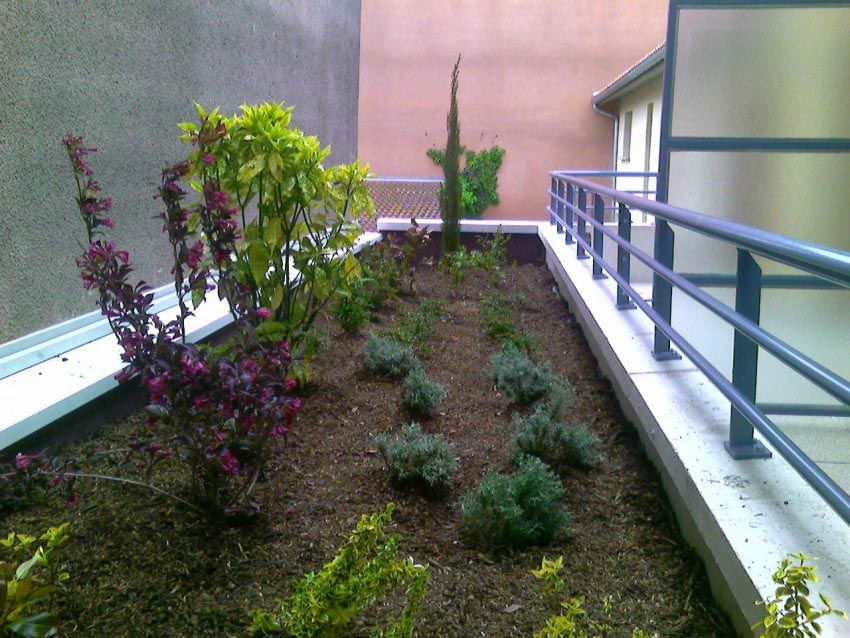 PLANTATION EN TERRASSE D’IMMEUBLE